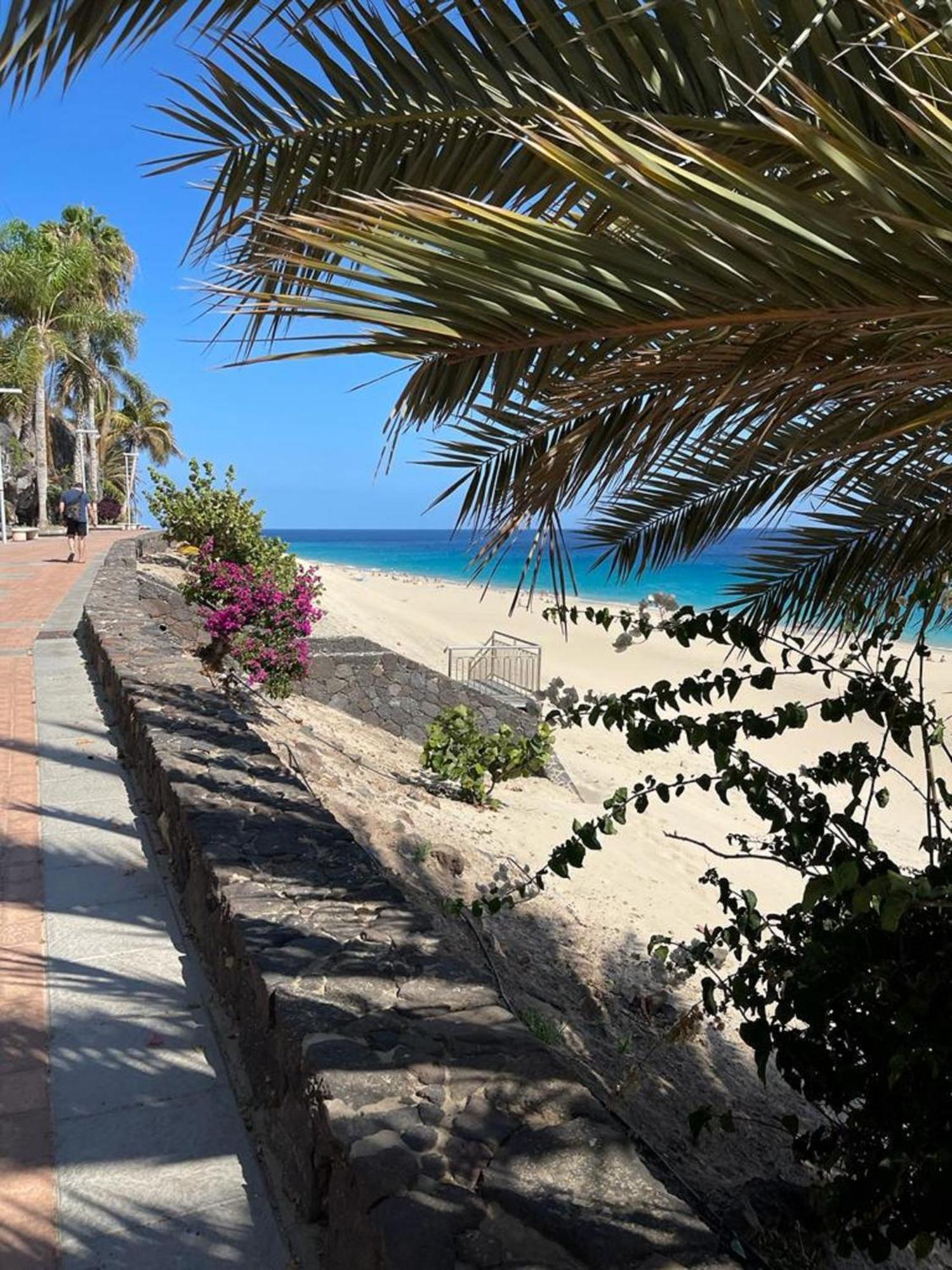 Playa Jandia Casa Reina 아파트 외부 사진