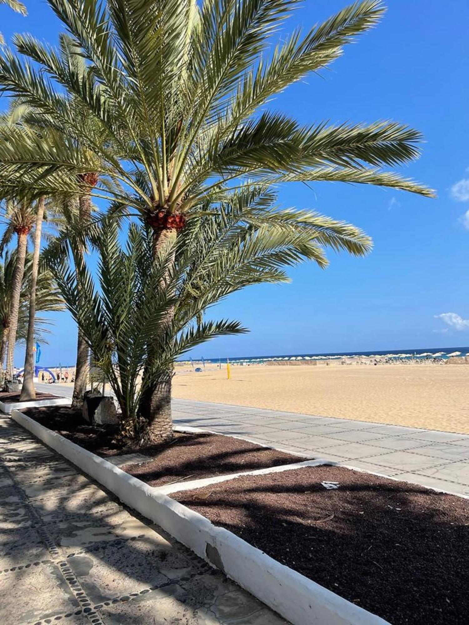 Playa Jandia Casa Reina 아파트 외부 사진